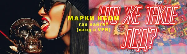 трава Медвежьегорск