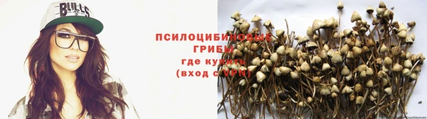 кокаин перу Магас