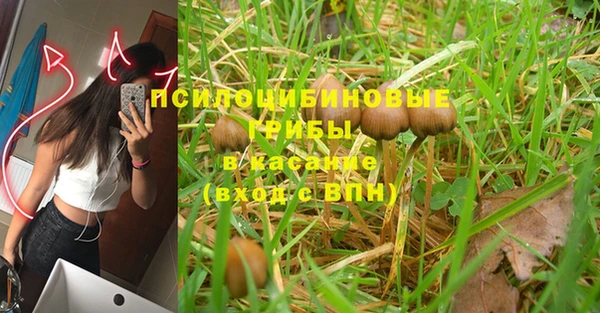 ешки Магадан