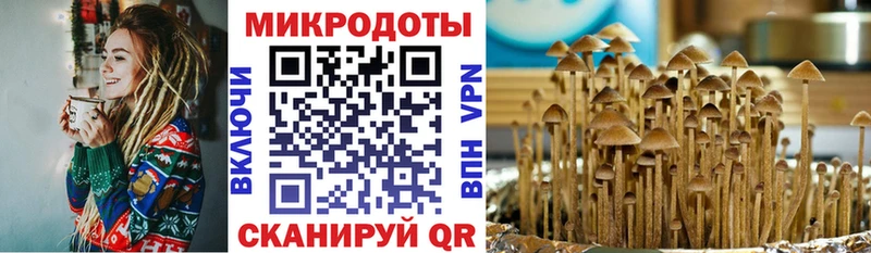 Псилоцибиновые грибы прущие грибы  Купить закладки  Коркино 