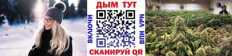 Канабис план  Купить где  Коркино 